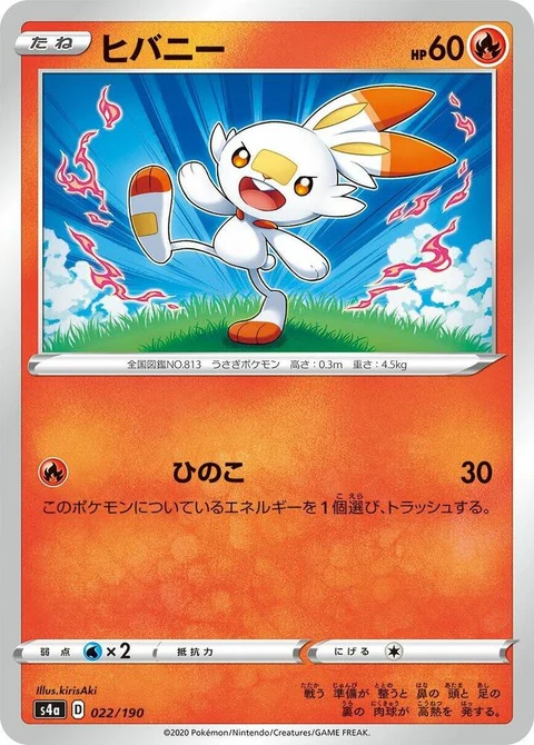 Scorbunny (22)