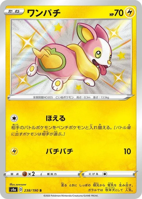 Yamper (238)