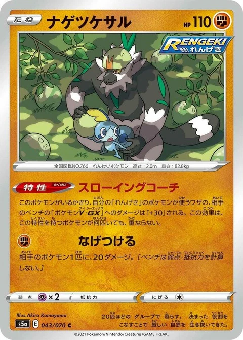 Passimian (43)