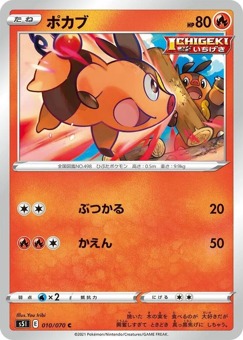 Tepig (10)