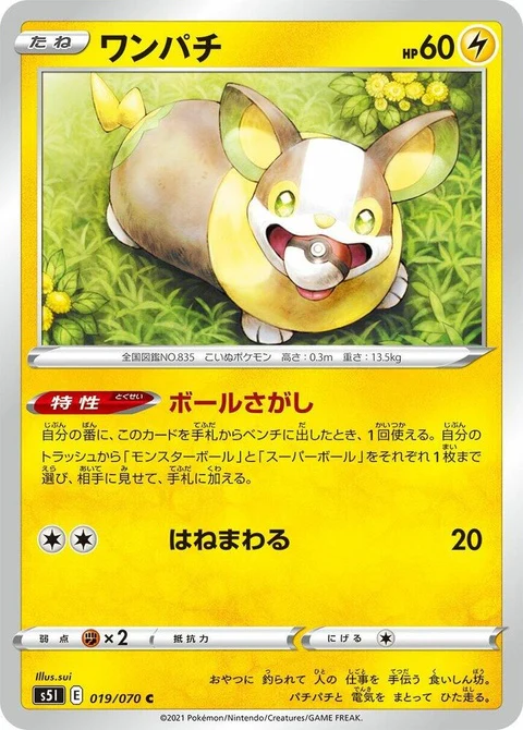 Yamper (19)
