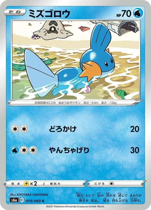 Mudkip (19)
