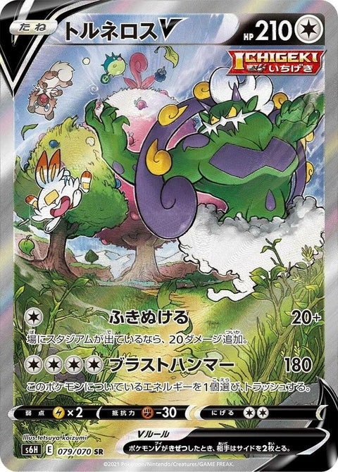 Tornadus V (79)