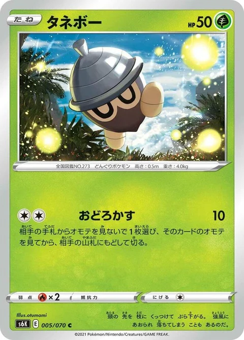 Seedot (5)
