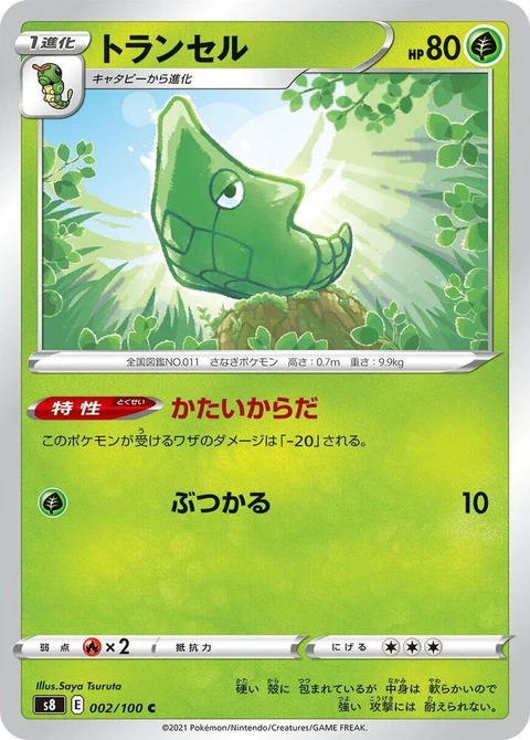 Metapod (2)