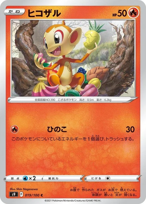 Chimchar (19)