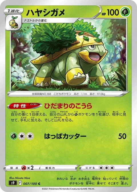Grotle (7)