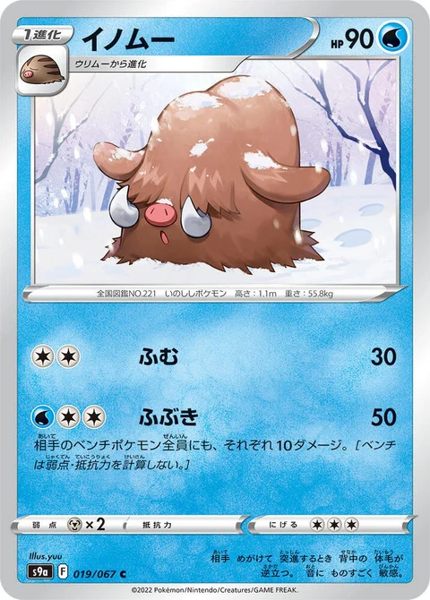 Piloswine (19)