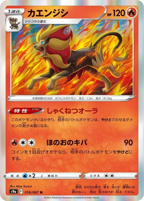 Pyroar (16)