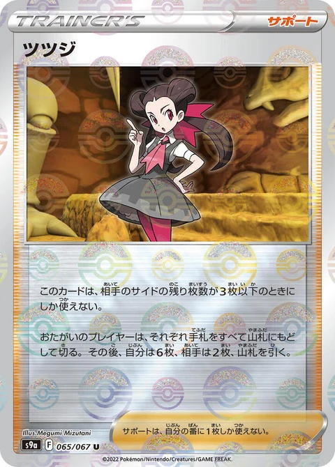 Roxanne - Poke Ball Pattern (65)