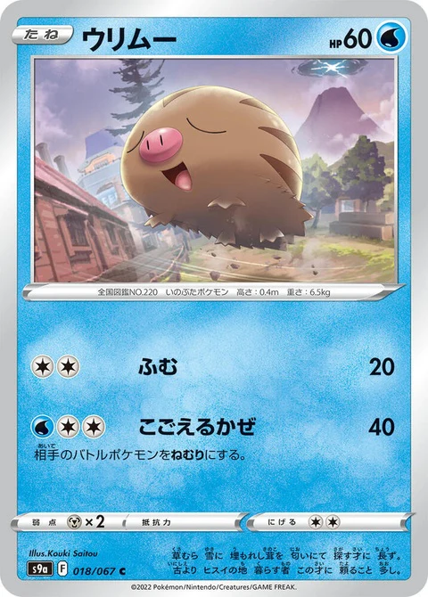 Swinub (18)