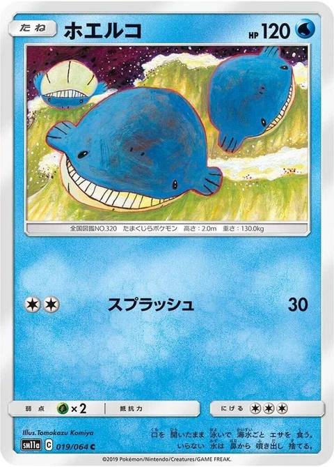 Wailmer (19)