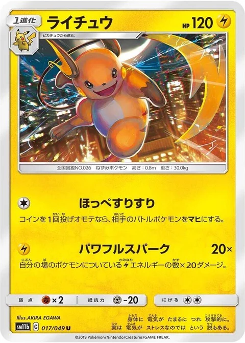 Raichu (17)