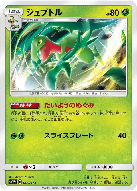 Grovyle (9)