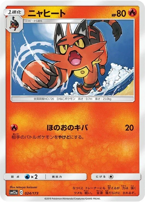 Torracat (24)