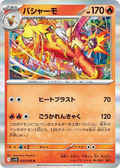Blaziken (20)