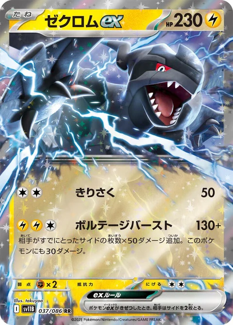 Zekrom Ex (37)