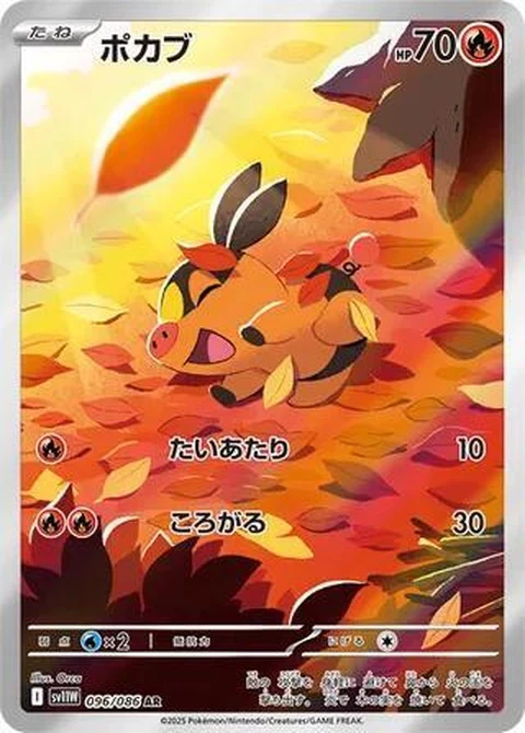 Tepig (96)