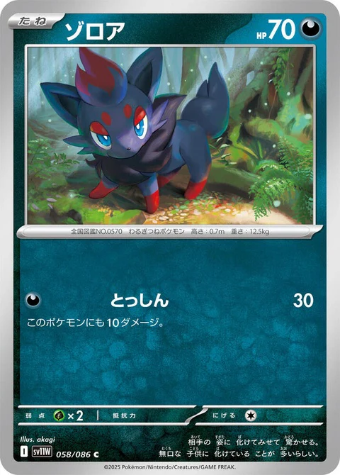 Zorua (58)