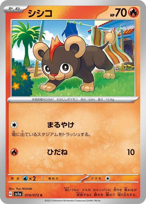 Litleo (14)