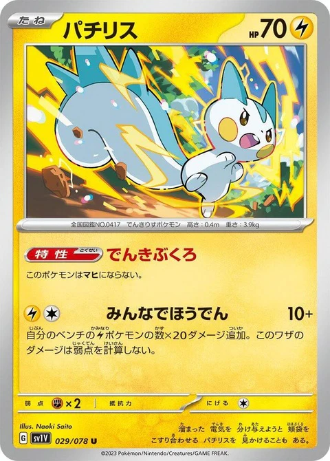 Pachirisu (29)