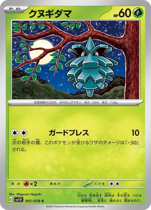 Pineco (1)