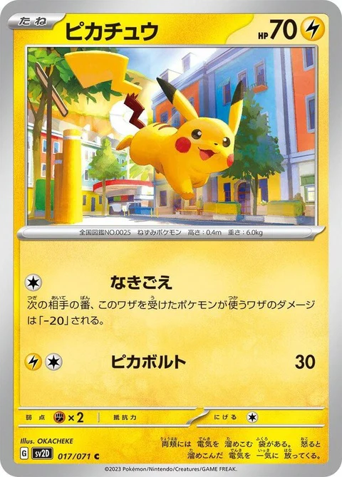 Pikachu (17)
