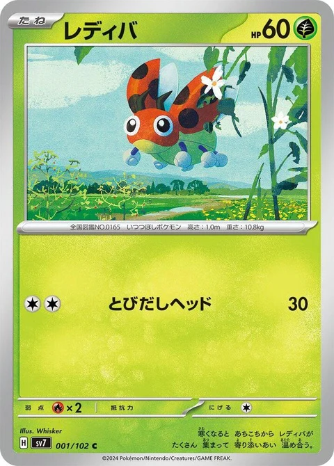 Ledyba (1)