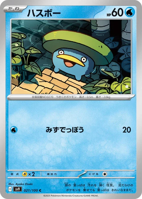 Lotad (21)