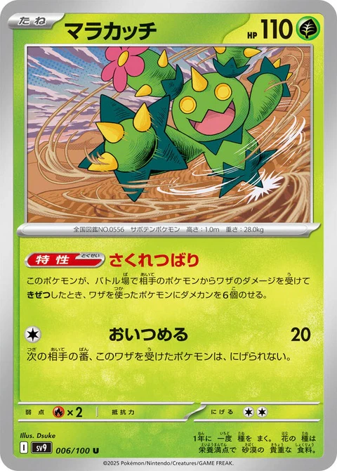 Maractus (6)