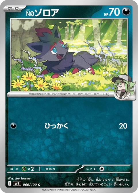 N's Zorua (60)