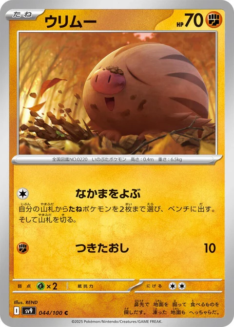Swinub (44)