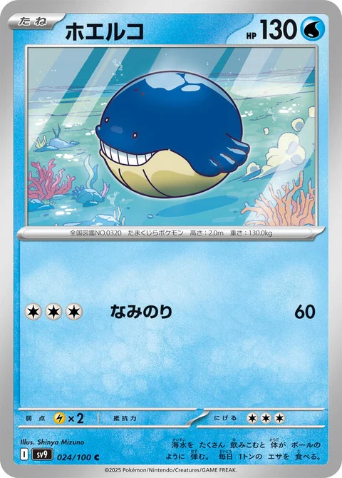 Wailmer (24)