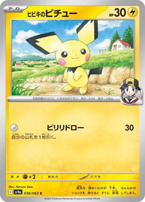 Ethan's Pichu (36)