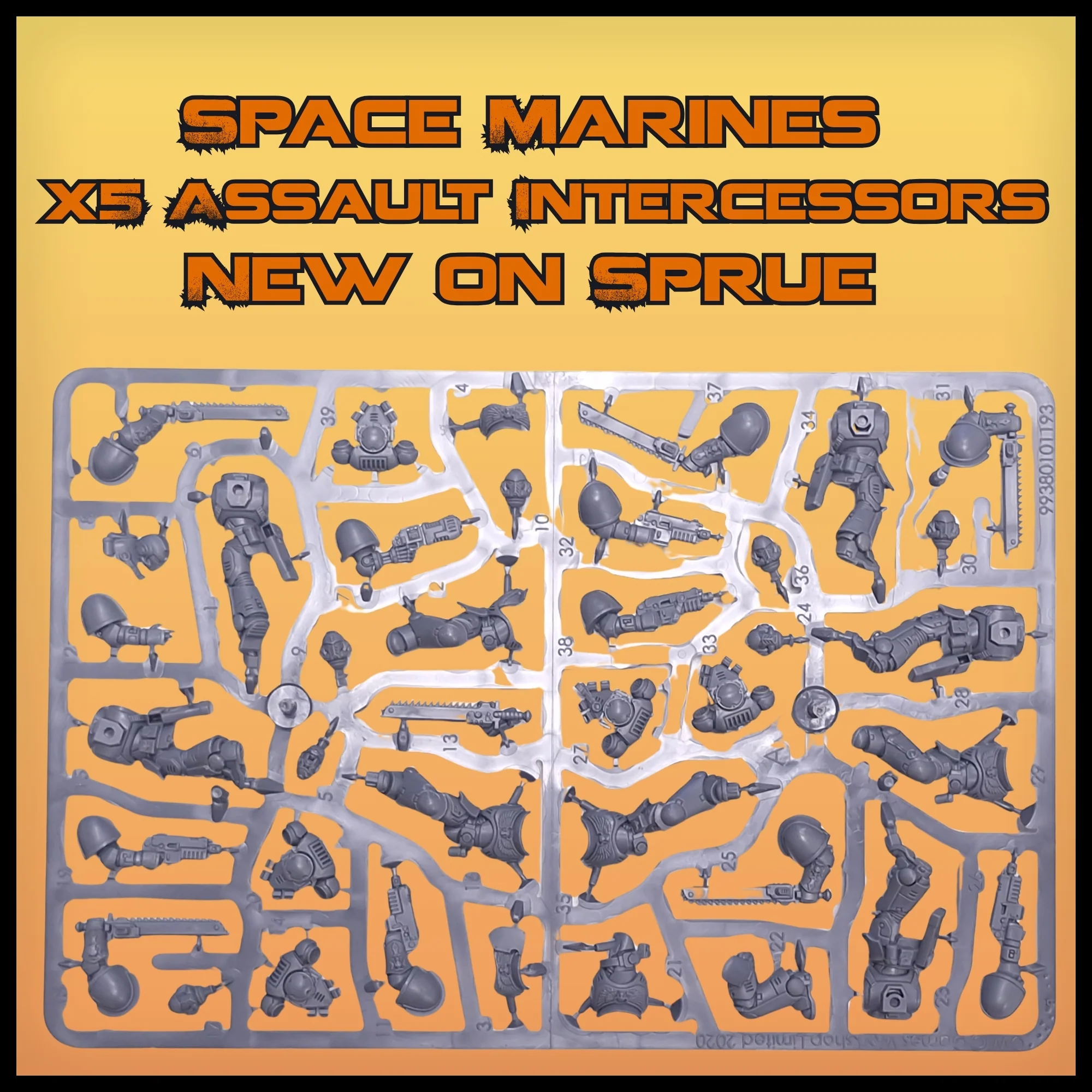Warhammer 40k: Space Marine x5 Intercessors New on Sprue (No Bases) - Image 2
