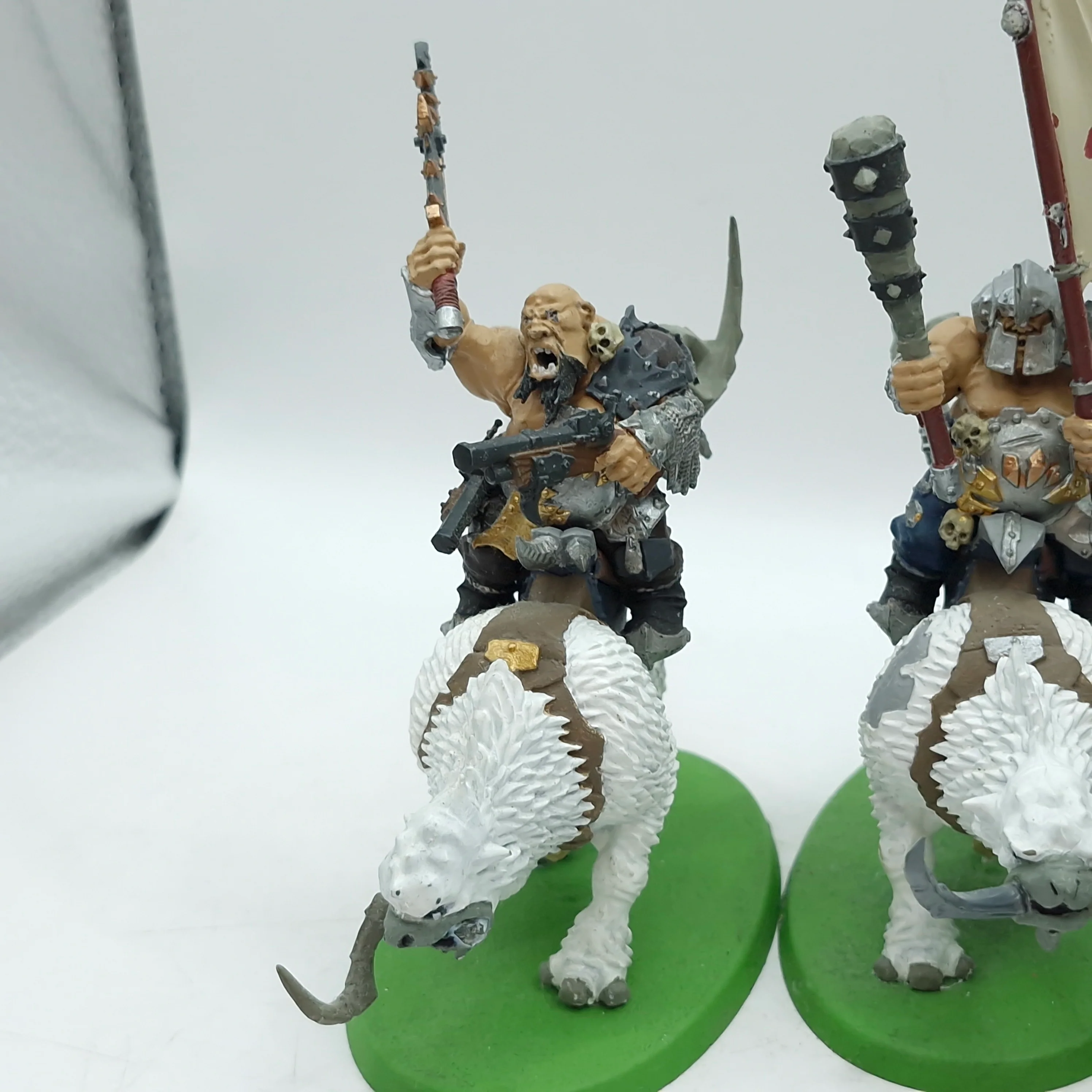 Warhammer Age of Sigmar: Ogor Mawtribes Mournfang Pack (AC004) - Image 2