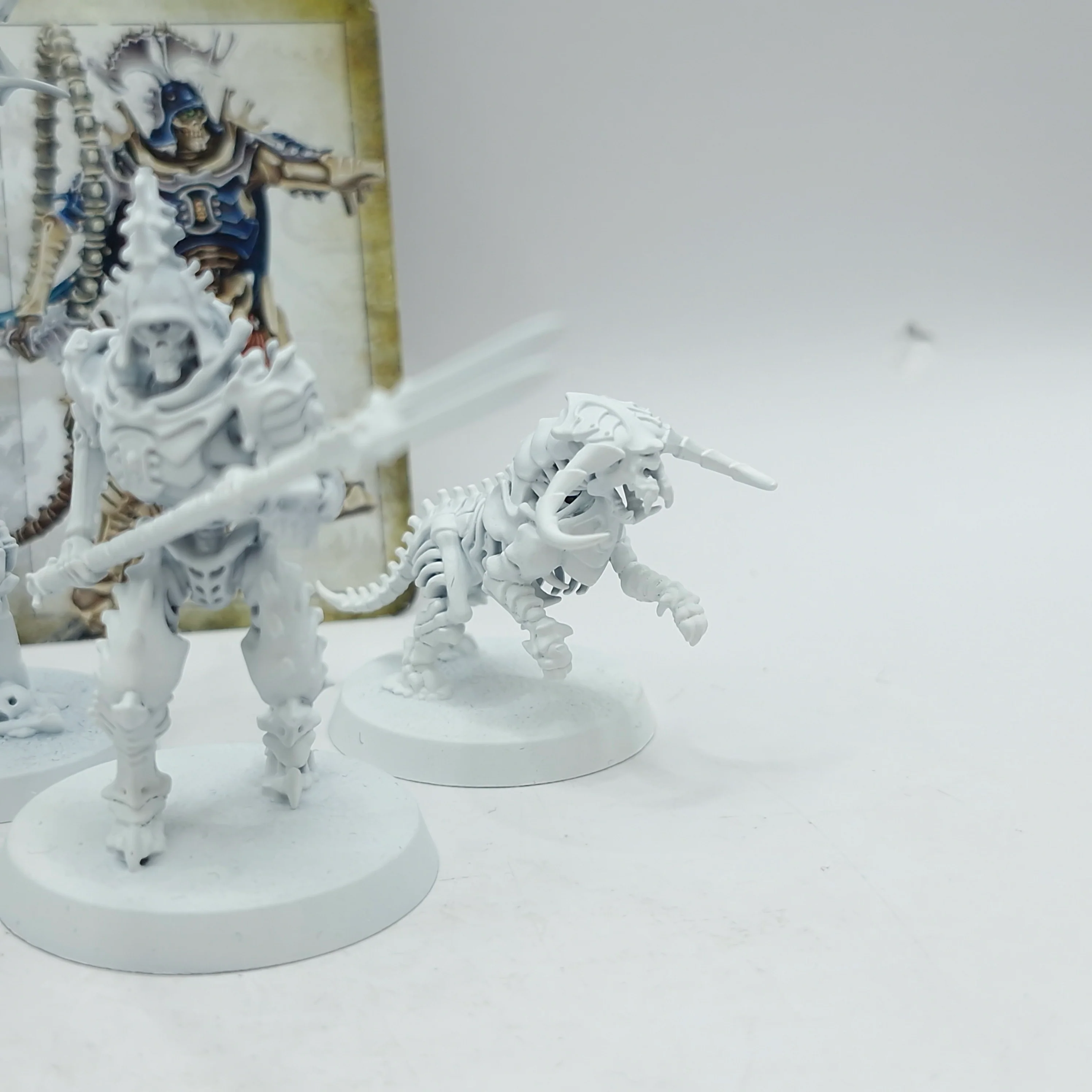 Warhammer Age of Sigmar: Ossiarch Bonereapers Warcry Teratic Cohort (AT085) - Image 7